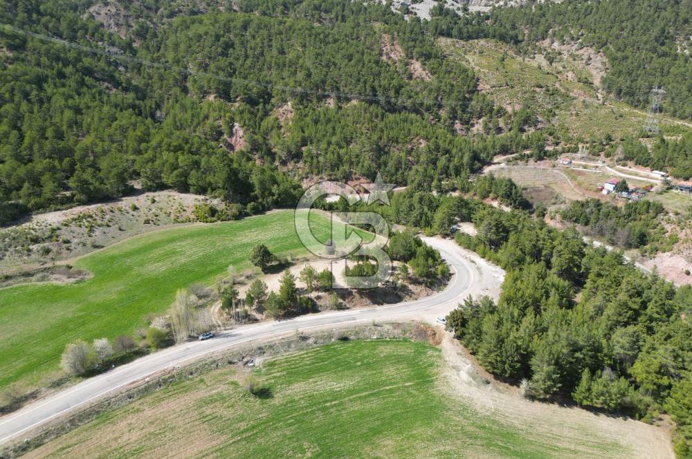 Tavas Pınarlık'ta Satılık Arazi