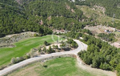 Tavas Pınarlık'ta Satılık Arazi