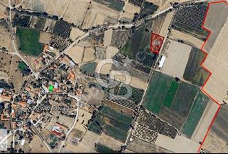 Çivril Karamanlı Kadastral Yola Cephe 2300 m2 Meyve Bahçesi