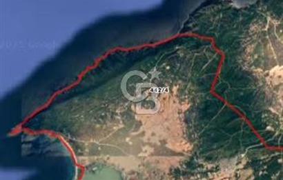 CB MARS'TAN ECEABAT KÜÇÜKANAFARTA'DA YATIRIM DEĞERİ YÜKSEK TARLA