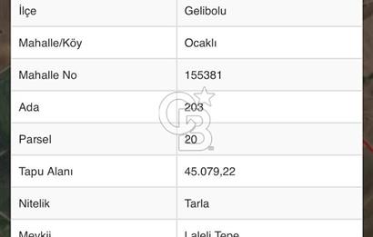 CB MARS'TAN GELİBOLU'DA YATIRIM DEĞERİ YÜKSEK TARIM ARAZİSİ