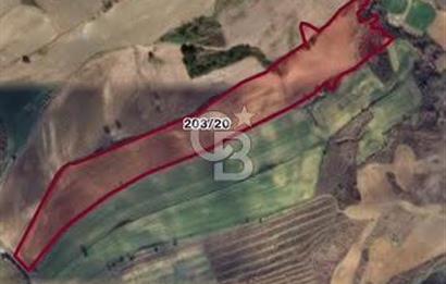 CB MARS'TAN GELİBOLU'DA YATIRIM DEĞERİ YÜKSEK TARIM ARAZİSİ
