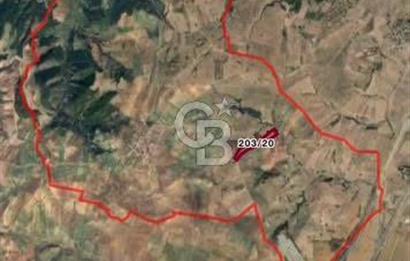 CB MARS'TAN GELİBOLU'DA YATIRIM DEĞERİ YÜKSEK TARIM ARAZİSİ