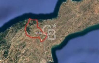 CB MARS'TAN GELİBOLU'DA YATIRIM DEĞERİ YÜKSEK TARIM ARAZİSİ