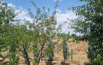 GÖLBAŞI İKİZCE MAHALLESİ 2+1 LÜKS 500 M2 SATILIK HOBİ BAHÇESİ