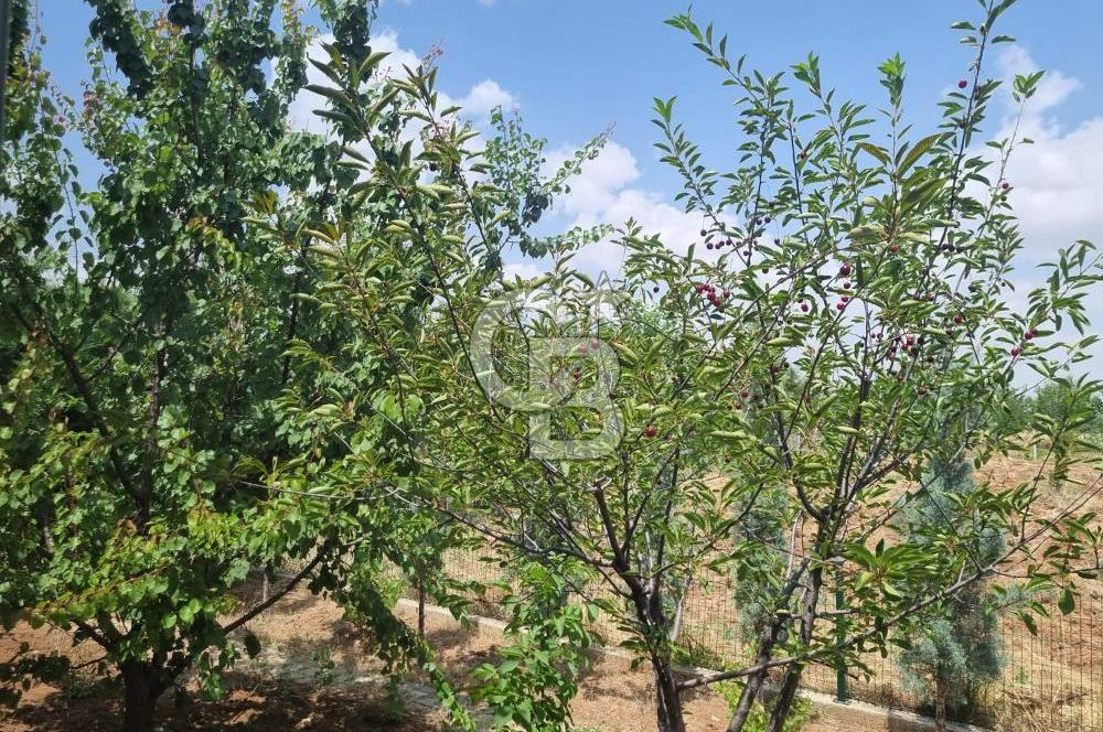 GÖLBAŞI İKİZCE MAHALLESİ 2+1 LÜKS 500 M2 SATILIK HOBİ BAHÇESİ