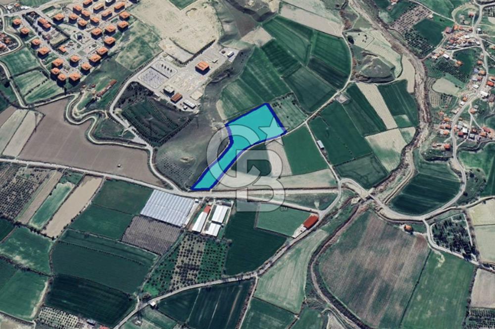 Sarayköy Gerali'de Satılık Yatırımlık 22.422 m² Tarla