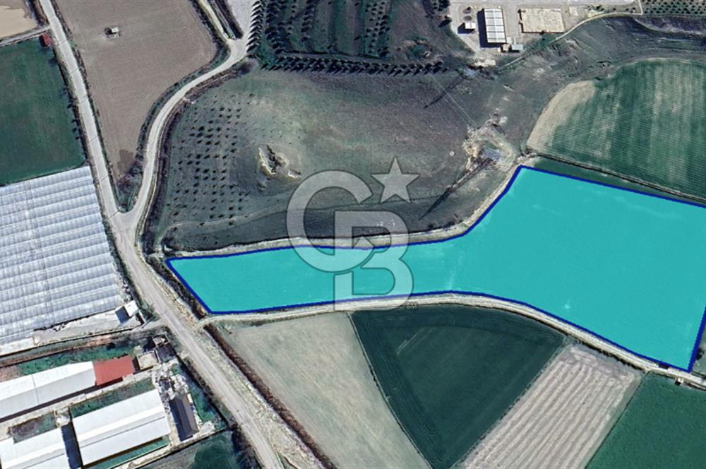 Sarayköy Gerali'de Satılık Yatırımlık 22.422 m² Tarla