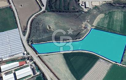 Sarayköy Gerali'de Satılık Yatırımlık 22.422 m² Tarla