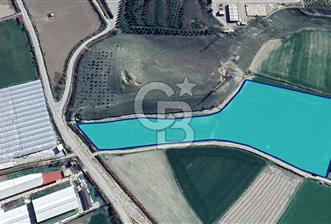 Sarayköy Gerali'de Satılık Yatırımlık 22.422 m² Tarla