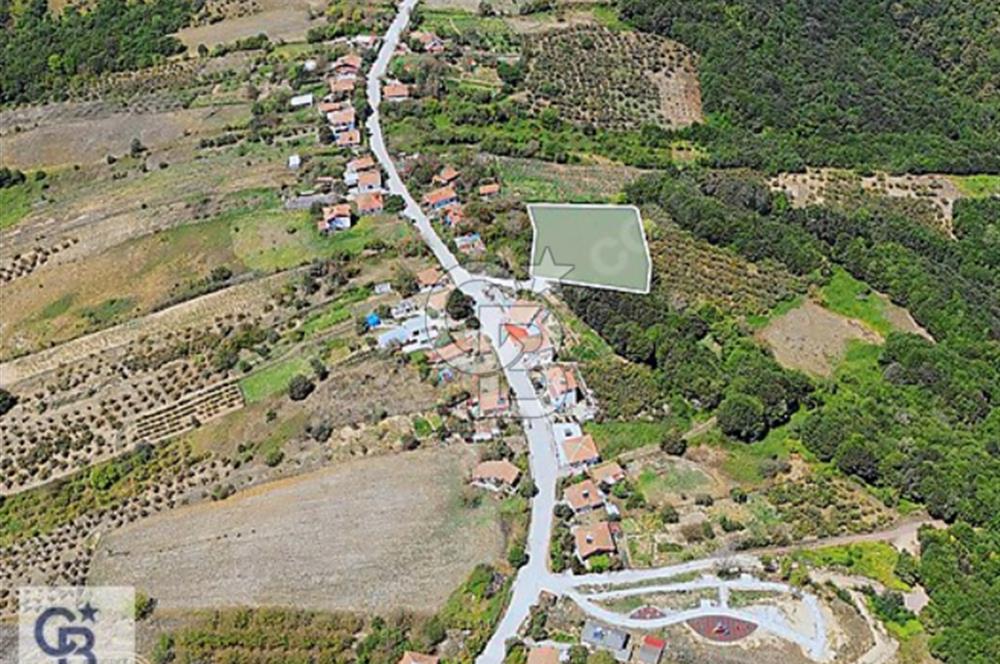 Kocaeli Kadriye İnşaat Ruhsatlı Satılık Villalık Arsalar