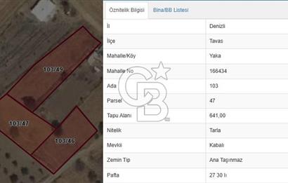 Tavas Yaka Mah. Fırsat Satılık Toplam 2003 m² 3 Adet Tarla