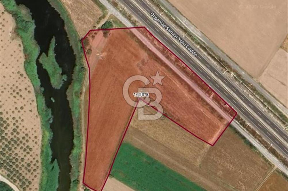 İzmir Aliağa Yalı 9.071 m² Fırsat Satılık Zeytinlik