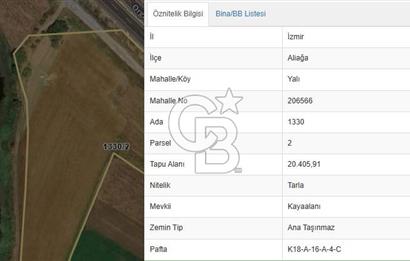 İzmir Aliağa Yalı 9.071 m² Fırsat Satılık Zeytinlik