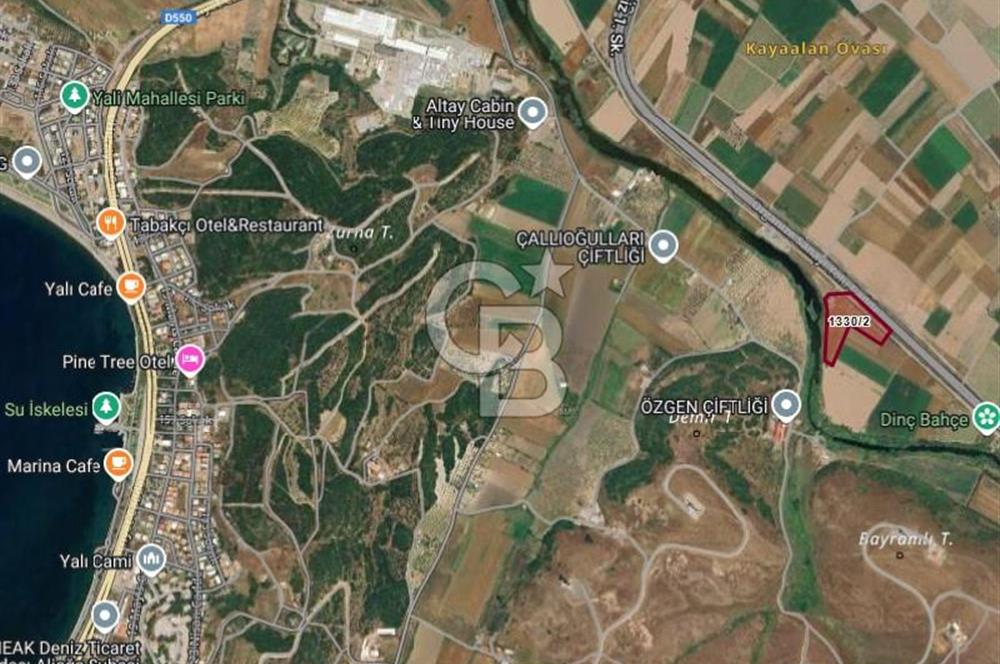 İzmir Aliağa Yalı 9.071 m² Fırsat Satılık Zeytinlik