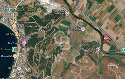 İzmir Aliağa Yalı 9.071 m² Fırsat Satılık Zeytinlik