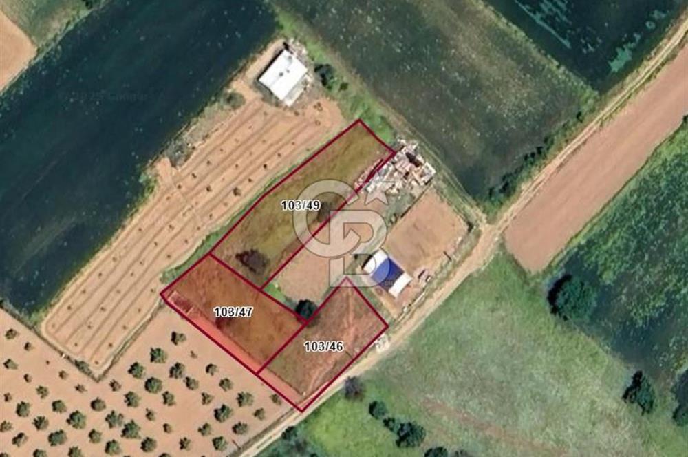Tavas Yaka Mah. Fırsat Satılık Toplam 2003 m² 3 Adet Tarla