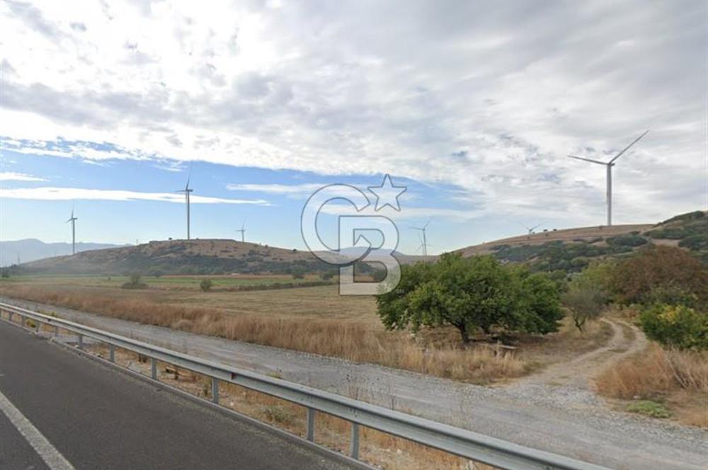 İzmir Aliağa Yalı 9.071 m² Fırsat Satılık Zeytinlik