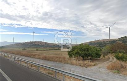 İzmir Aliağa Yalı 9.071 m² Fırsat Satılık Zeytinlik