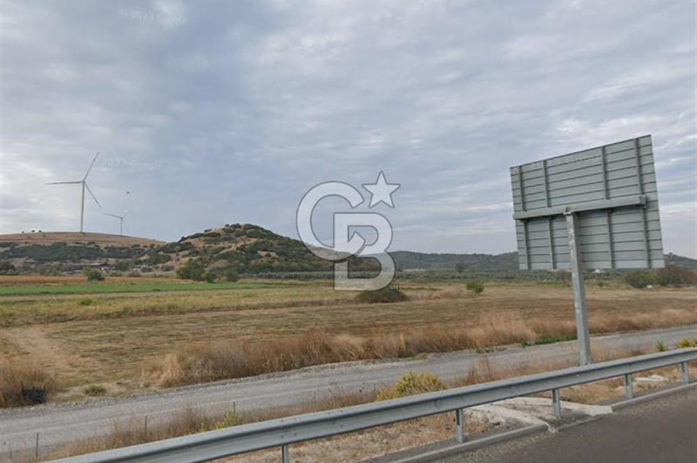 İzmir Aliağa Yalı 9.071 m² Fırsat Satılık Zeytinlik