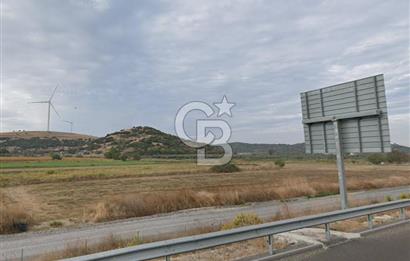 İzmir Aliağa Yalı 9.071 m² Fırsat Satılık Zeytinlik