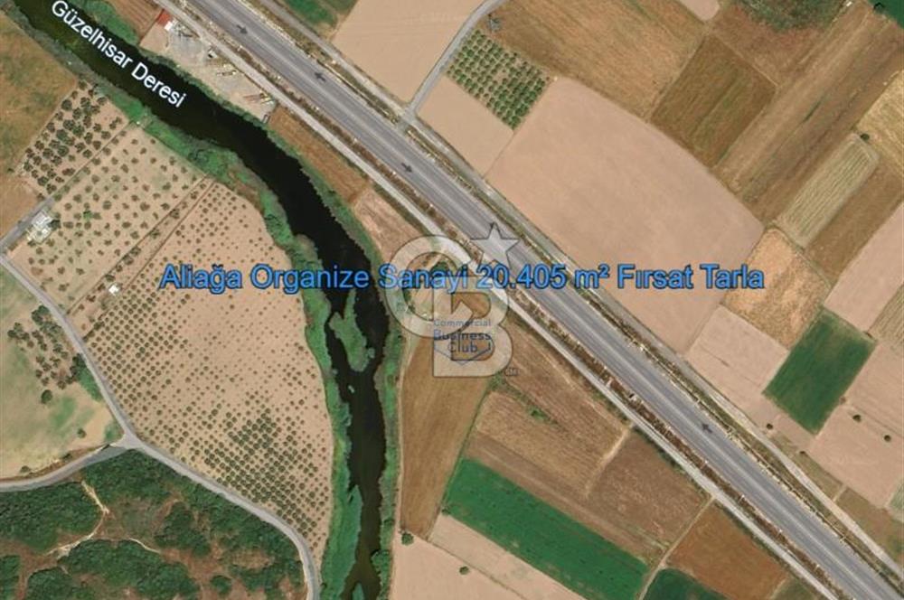 İzmir Aliağa Yalı 9.071 m² Fırsat Satılık Zeytinlik