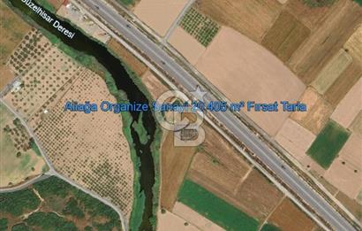 İzmir Aliağa Yalı 9.071 m² Fırsat Satılık Zeytinlik