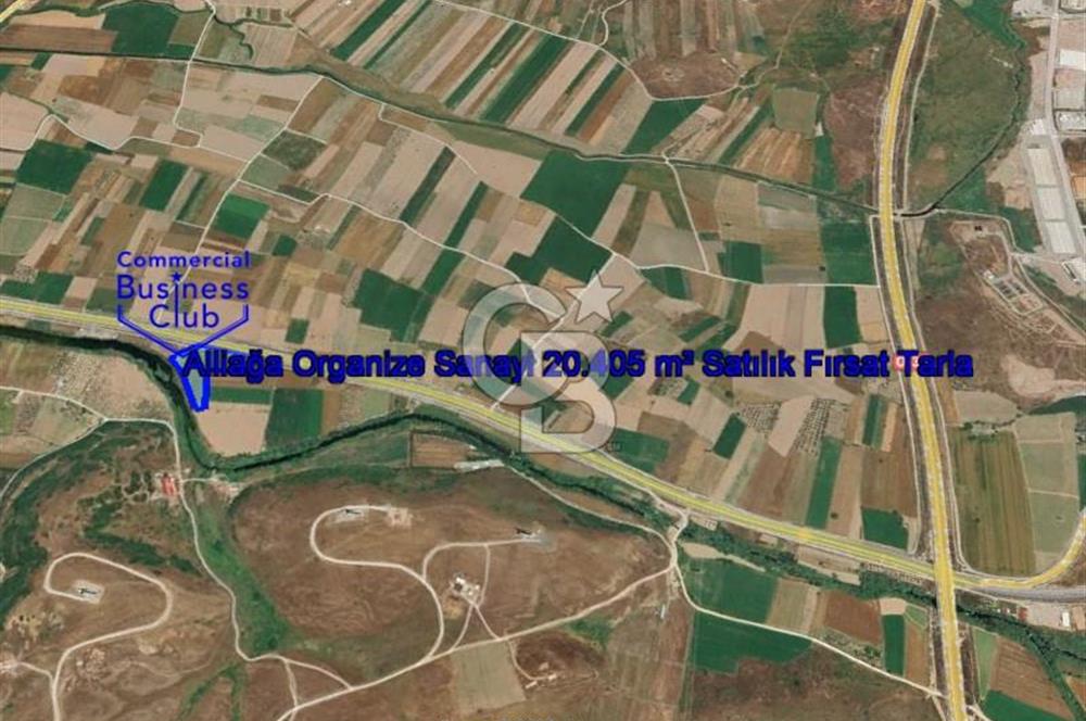 İzmir Aliağa Yalı 9.071 m² Fırsat Satılık Zeytinlik