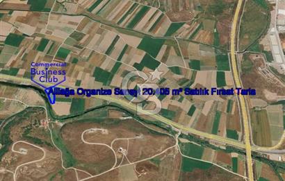 İzmir Aliağa Yalı 9.071 m² Fırsat Satılık Zeytinlik