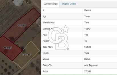 Tavas Yaka Mah. Fırsat Satılık Toplam 2003 m² 3 Adet Tarla