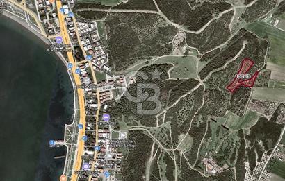 İzmir Aliağa Yalı 9.071 m² Fırsat Satılık Zeytinlik