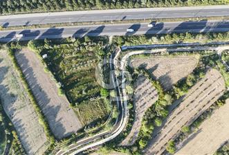 Sarayköy Duacılı 1516 m2 Zeytin ve Meyve Bahçesi
