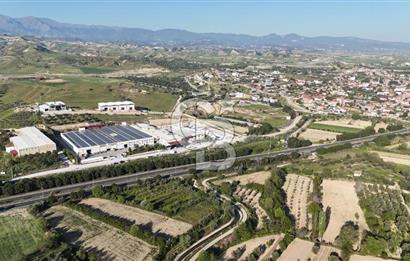 Sarayköy Duacılı 1516 m2 Zeytin ve Meyve Bahçesi