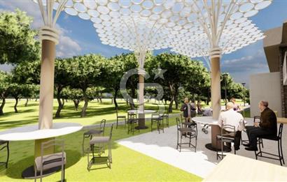 Muğla Menteş Gülağzı Emsalsiz 11.537 m² İki Parsel Satılık Arsa
