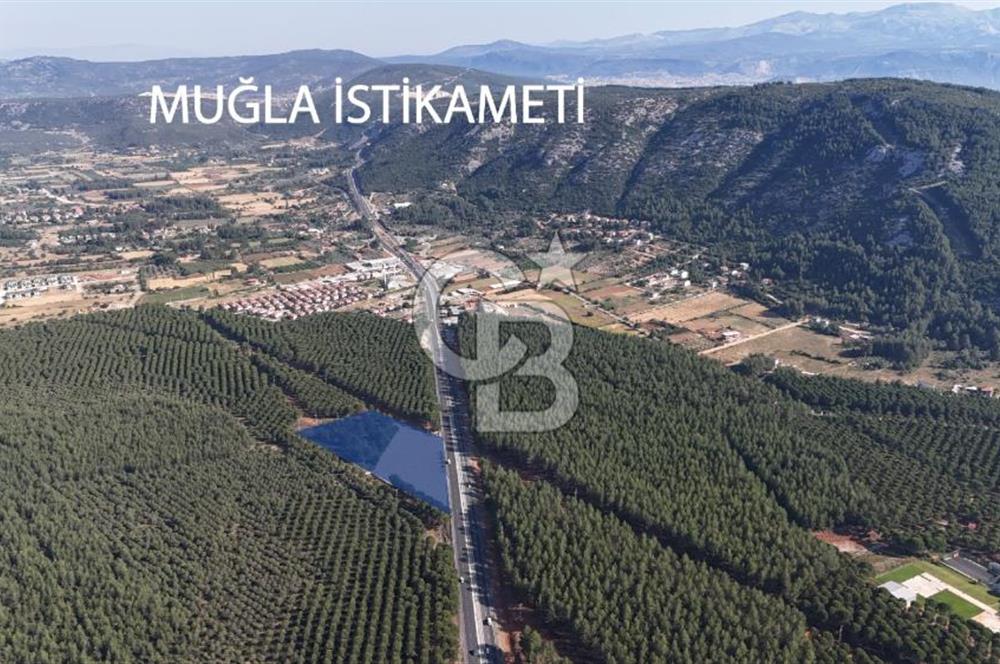 Muğla Menteş Gülağzı Emsalsiz 11.537 m² İki Parsel Satılık Arsa
