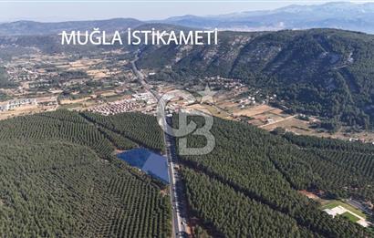 Muğla Menteş Gülağzı Emsalsiz 11.537 m² İki Parsel Satılık Arsa