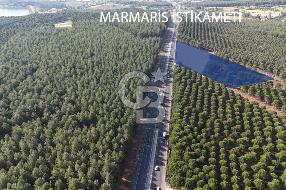 Muğla Menteş Gülağzı Emsalsiz 11.537 m² İki Parsel Satılık Arsa