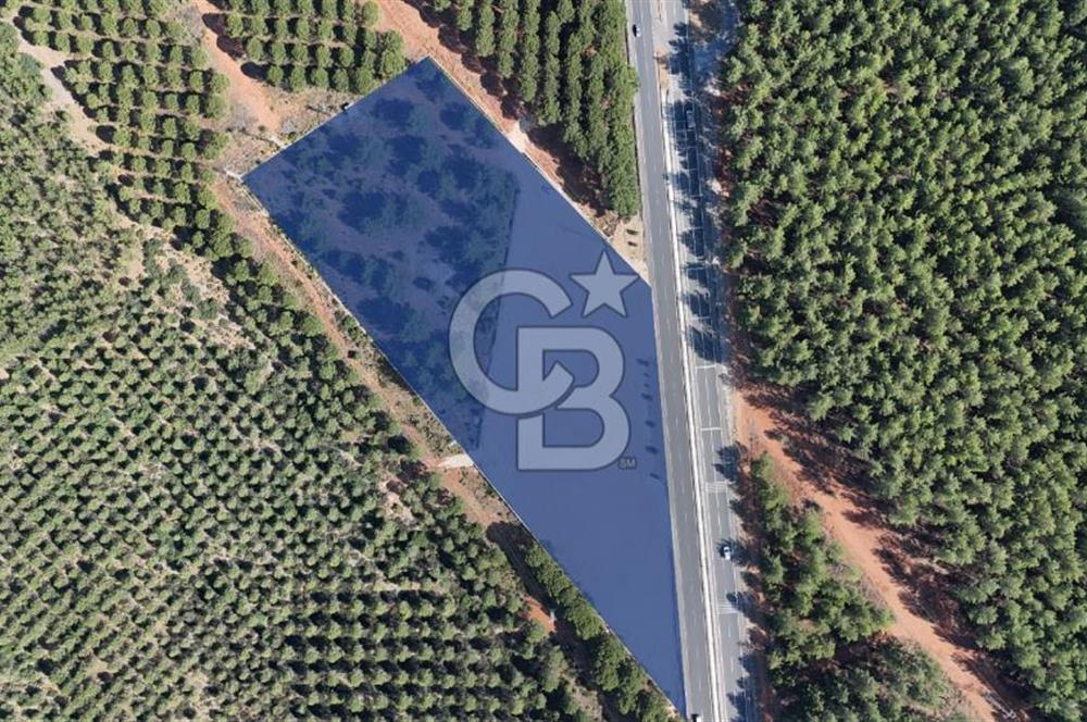Muğla Menteş Gülağzı Emsalsiz 11.537 m² İki Parsel Satılık Arsa