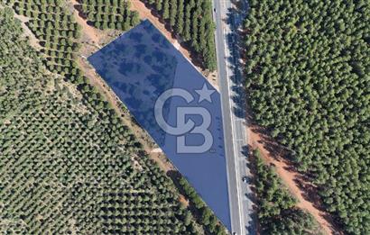 Muğla Menteş Gülağzı Emsalsiz 11.537 m² İki Parsel Satılık Arsa