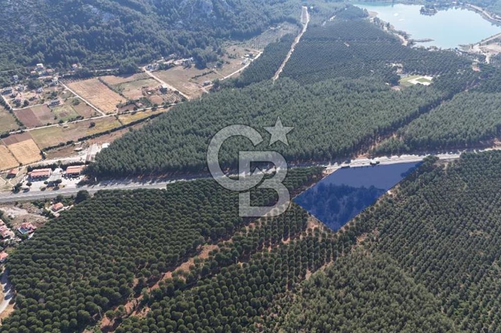 Muğla Menteş Gülağzı Emsalsiz 11.537 m² İki Parsel Satılık Arsa