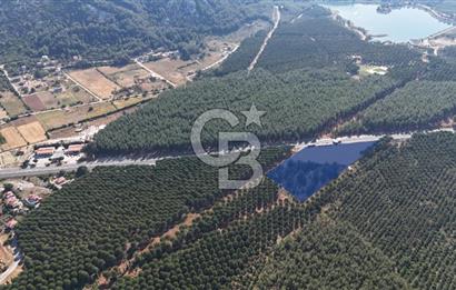 Muğla Menteş Gülağzı Emsalsiz 11.537 m² İki Parsel Satılık Arsa