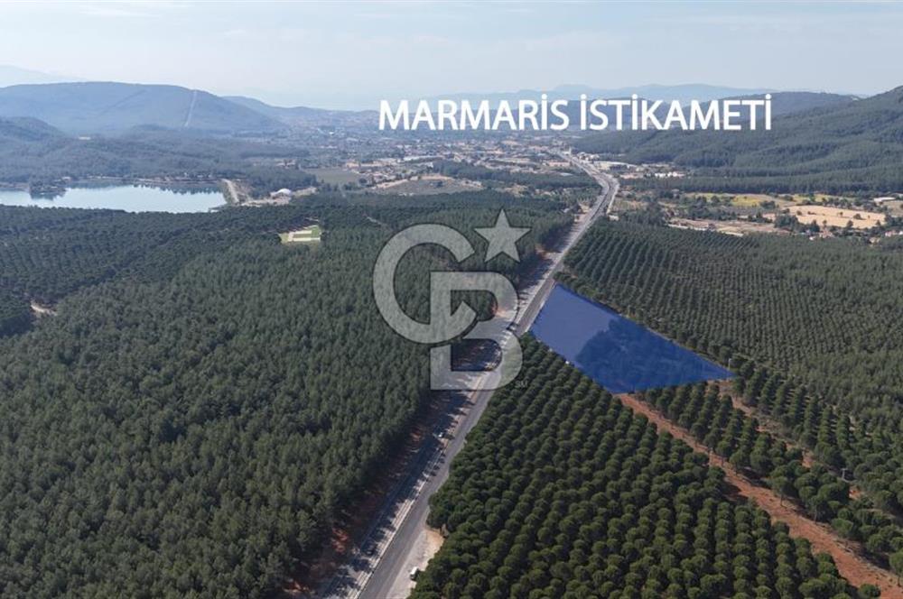 Muğla Menteş Gülağzı Emsalsiz 11.537 m² İki Parsel Satılık Arsa