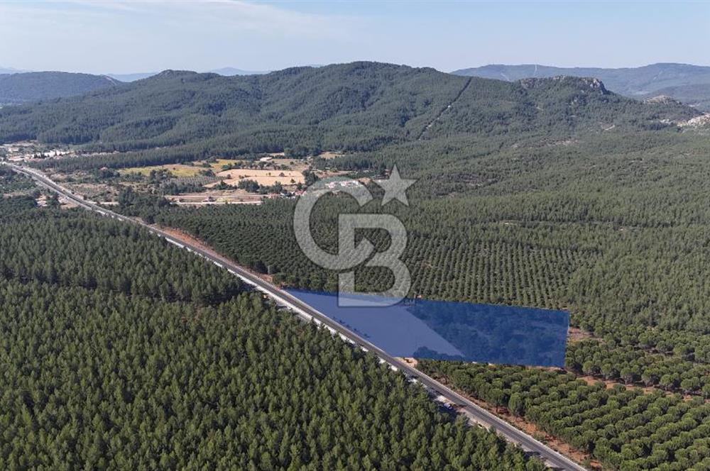Muğla Menteş Gülağzı Emsalsiz 11.537 m² İki Parsel Satılık Arsa