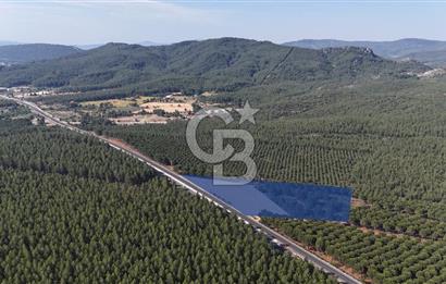 Muğla Menteş Gülağzı Emsalsiz 11.537 m² İki Parsel Satılık Arsa