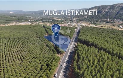 Muğla Menteş Gülağzı Emsalsiz 11.537 m² İki Parsel Satılık Arsa