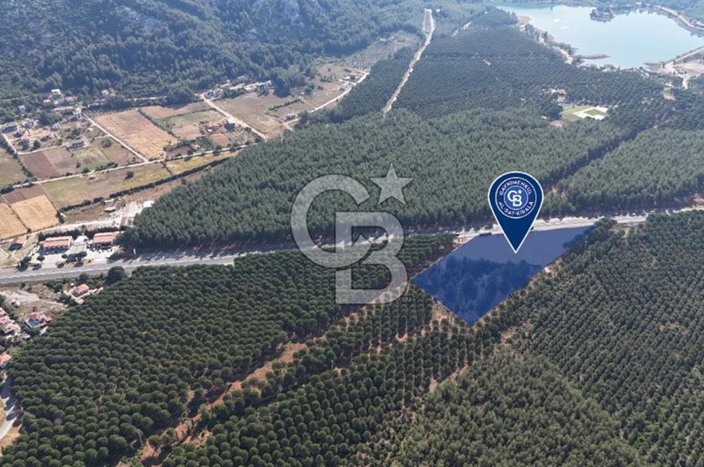 Muğla Menteş Gülağzı Emsalsiz 11.537 m² İki Parsel Satılık Arsa