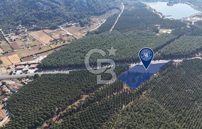 Muğla Menteş Gülağzı Emsalsiz 11.537 m² İki Parsel Satılık Arsa