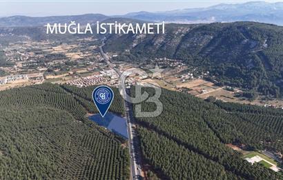 Muğla Menteş Gülağzı Emsalsiz 11.537 m² İki Parsel Satılık Arsa