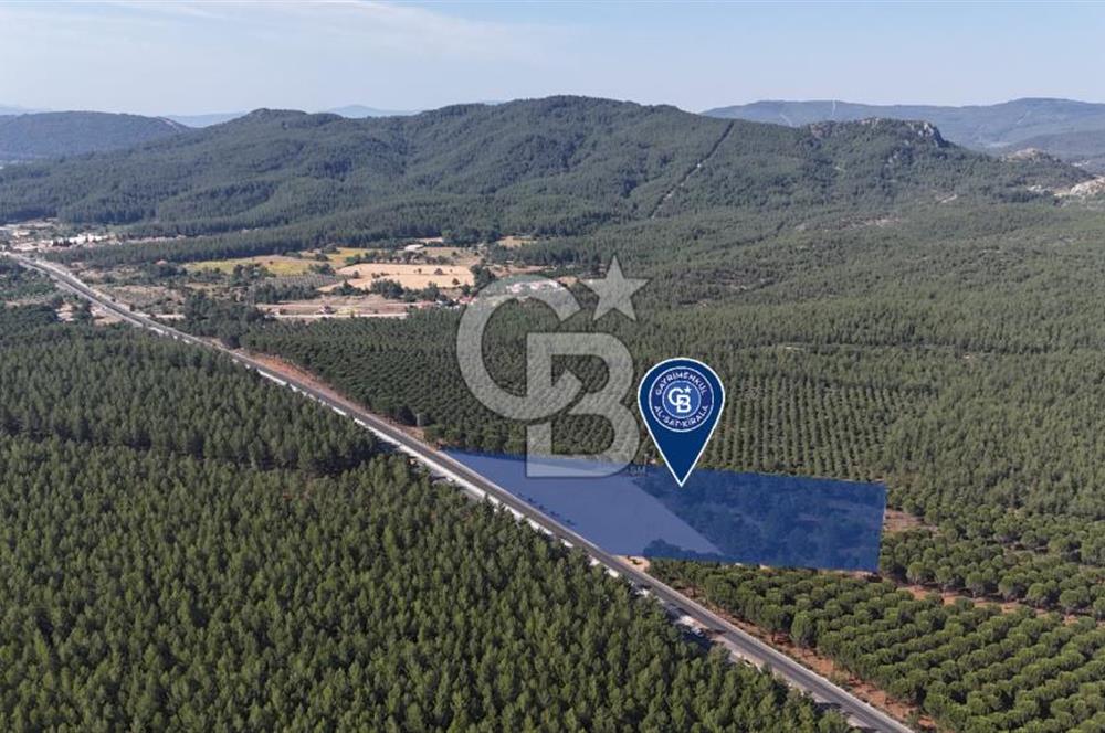 Muğla Menteş Gülağzı Emsalsiz 11.537 m² İki Parsel Satılık Arsa