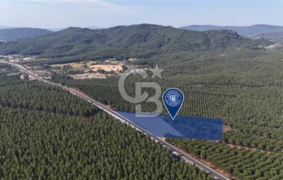 Muğla Menteş Gülağzı Emsalsiz 11.537 m² İki Parsel Satılık Arsa